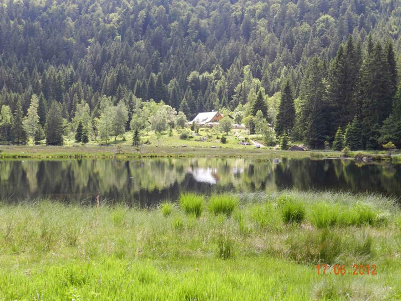 Gaestehaus Schmalzreich Lam Εξωτερικό φωτογραφία